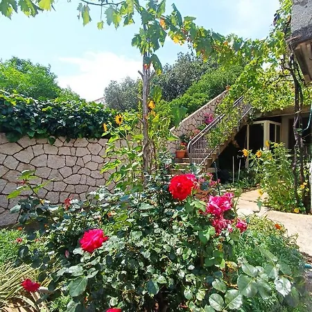 Dubrovnik Apartment Nepe Zewnętrze zdjęcie