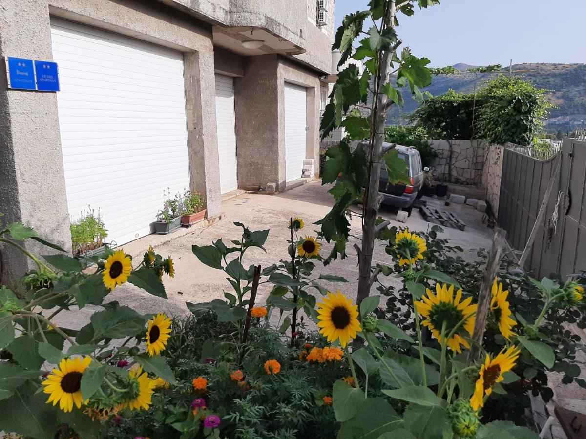 Apartament Nepe *