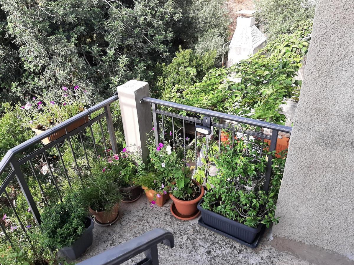 Apartament Nepe *