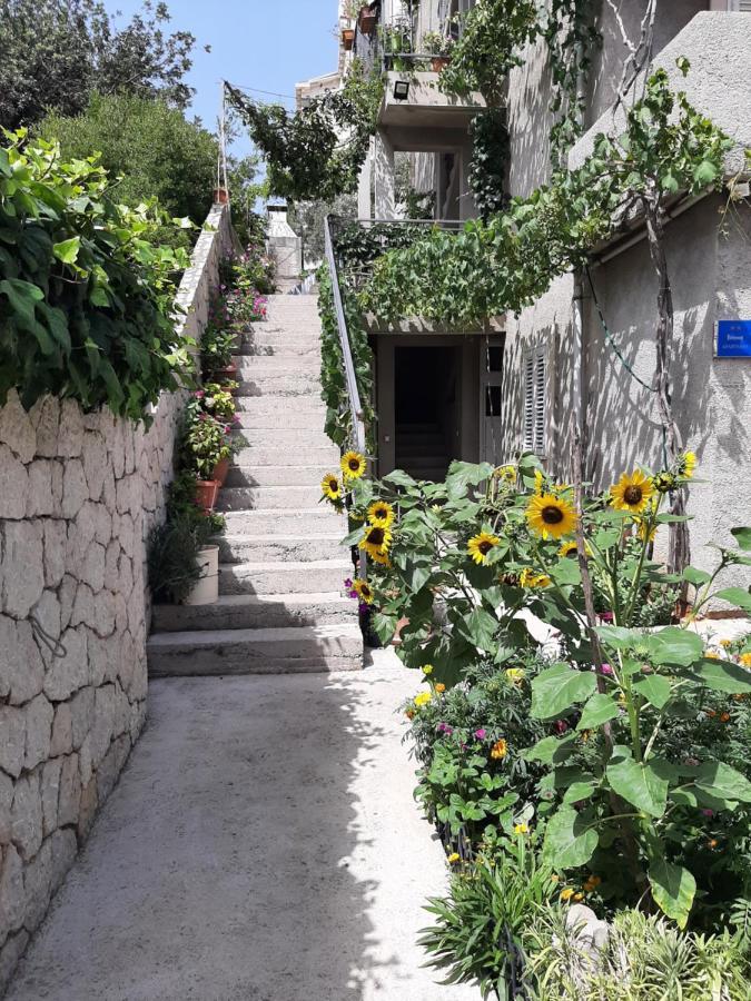 Nepe Apartament *